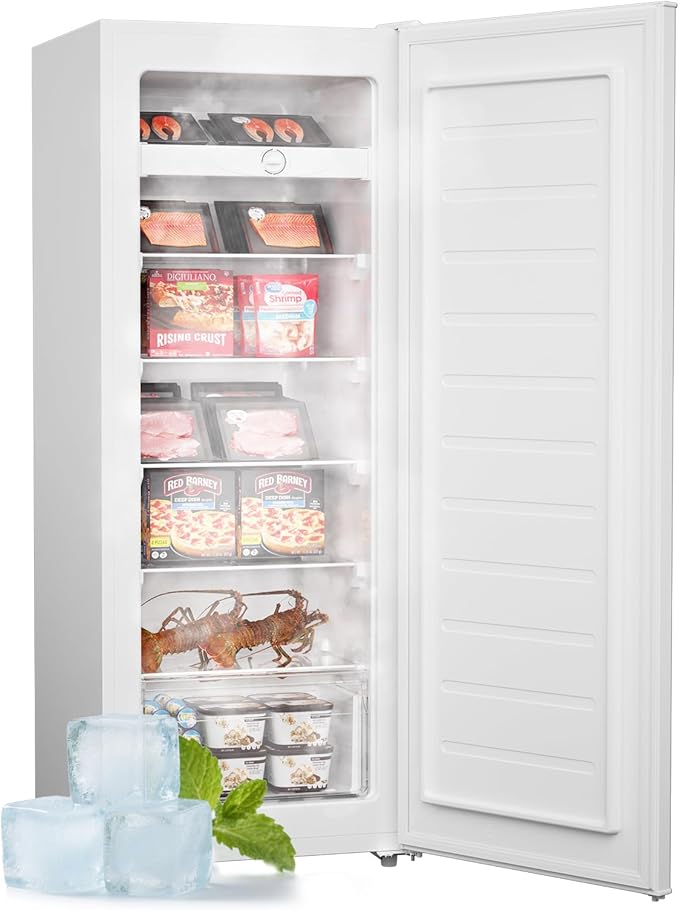 Freezer Repair