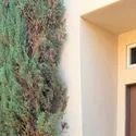 Photo from A T's review showing the exterior of the Costa Mesa home where the Viking wine cooler was repaired